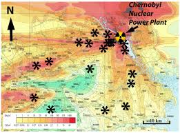 27.01.2017 by green tour ukraine. Forests Around Chernobyl Aren T Decaying Properly Science Smithsonian Magazine