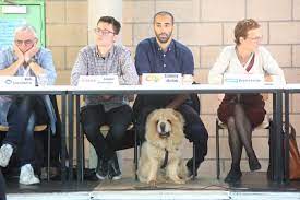 Check spelling or type a new query. Sammy Mahdi Cd V Het Populairst Tijdens Schooldebat Maar Hond Pamuk Gaat Nadien Met Alle Aandacht Lopen Sint Genesius Rode Hln Be