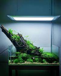 27 Easy Diy Aquascape Design On Low Budget Homemydesign Aquascape Design Aquarium Landscape Aquascape