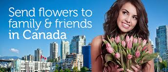 We did not find results for: Send Flowers To Canada From Ireland