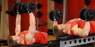 Mission Pectoraux Le Top 5 Des Exercices Avec Halteres Exercice Pectoraux Exercice Avec Haltere Exercice