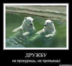 Прекрасные, чувственные надписи на картинках. Prikolnye Kartinki Pro Druzhbu S Nadpisyami 54 Foto Prikolnye Kartinki I Yumor