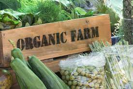 5 Reasons Getting Usda Organic Certification Is Really Difficult - Modern  Farmer