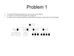 Problem 1 Consider The Following Pedigree For A Rare Human