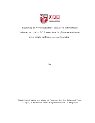 The master of computer science is a 40 credits postgraduate programme by coursework. Thesis Template For Universiti Putra Malaysia English Template Upm