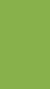 pin on background pantone 2324