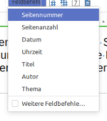 Welche einstellungen sie dazu vornehmen müssen, lesen sie in diesem. Https Wiki Documentfoundation Org Images 8 86 Writer 7 0 Kapitel 14 Feldbefehle Pdf