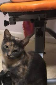 What happened to house at Packer and 3rd?