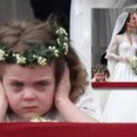 PDF) Gender identity, gender pronouns, and freedom of expression: Bill C-16  and the traction of specious legal claims