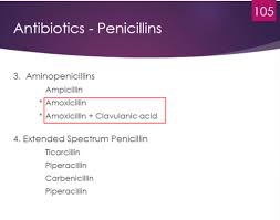 Image result for Extended Spectrum Penicillin