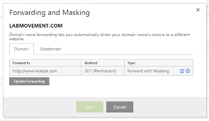 301 Redirect Vs Domain Fowarding Godaddy Webmasters Stack Exchange