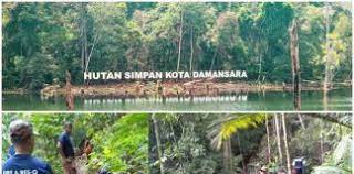 Hutan simpan kota damansara yang diperihalkan dalam jadual, sebagai hutan lipur, hutan pelajaran dan hutan penyelidikan mulai dari tarikh penyiaran pemberitahuan ini dalam warta. Hutan Simpan Kota Damansara Archives Libur