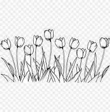 To get more templates about posters,flyers,brochures,card,mockup,logo,video,sound,ppt,word,please visit pikbest.com Flower Tulip Coloring Book Line Art Drawing Flowers Drawing Png Image With Transparent Background Toppng