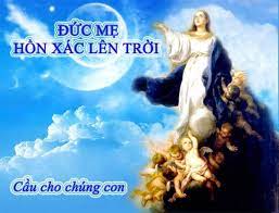 Only about 1 million doses from this deal have reached việt nam so far, tức là gần 1 triệu liệu pfizer đã về việt nam trong hợp đồng đã ký 31 triệu liều. 3vabldythuqfhm