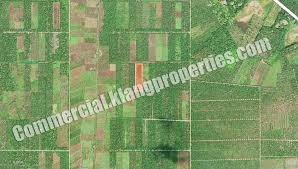 It consists of mainly agricultural land with minimal count of village houses in the area. Tanjung Dua Belas Kuala Langat Agriculture Land For Sale 2 5acres Rm880 000