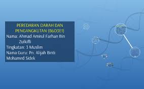 Saat darah beredar ke seluruh tubuh, darah sekaligus membawa oksigen dan nutrisi penting untuk tubuh, dan membantu membuang produk. Peredaran Darah Dan Pengangkutan B6d3e1 By Ameer Zulkifli On Prezi Next