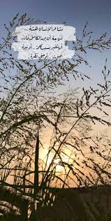 Pin By Haya On يومياتي In 2020 Cards Against Humanity Cards Arabic Quotes