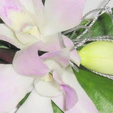 Our website offers victoria point online flowers for. Victoria Park Flowers Schoolball