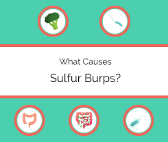 What Are Sulfur Burps Causes And Treatments Drug Genius