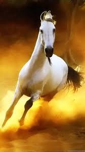 Transform any room in your home with a custom mural from muralunique! Horse 3d Beautiful White Horse Wallpapers Wallpapers Desktop Background