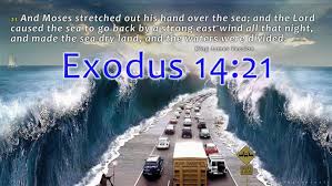 We did not find results for: Rock Bible Verse 2048x1536 Wallpaper Teahub Io