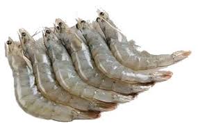 Camarón 40/50