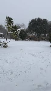 🇳🇮Doris Paz🇳🇮 (@dorisrlainez611)'s videos with sonido original