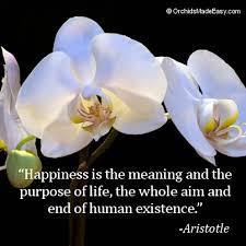 Orchid Quote Happiness And Orchids Orchidsmadeeasy Com Orchid Photography Orchid Wallpaper Orchid Flower