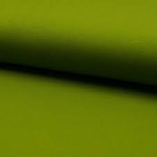 Tissu Jersey Lourd Uni Vert Olive