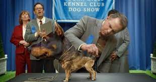 Sarah Mclachlan In Audi S Doberhuahua The 12 Celebrity Super Bowl Commercials You Ll Actually Want To See Again Funny Ads Super Bowl Super Bowl Commercials