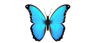 It Seems Like This Blue Butterfly Emoji Is Becoming A Thing Now Nylon Singapore