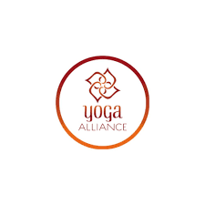Maybe you would like to learn more about one of these? 200h Vinyasa Yoga Ttc September 6th 2020 Yogaunion Online