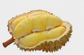 Hasil gambar untuk buah durian