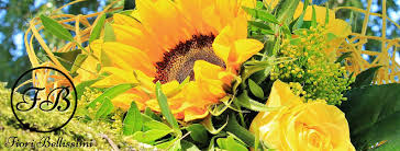 Visualizza altre idee su immagini di fiori, fiori, immagini. Fiori Bellissimi Home Facebook