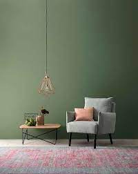 Schoner Wohnen Kollektion Wand Und Deckenfarbe Designfarben Ausgeglichenes Piniengrun Nr 28 Feinmatt 2 5 L Online Kaufen Otto Schoner Wohnen Wandfarbe Schoner Wohnen Farbe Schoner Wohnen