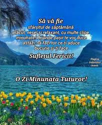 Pin By Pricope Cristina On Urări In 2020 Motivation Day