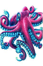 Octopus Colored Pencil Drawing Octopus Art Octopus Etsy Octopus Art Drawing Octopus Art Octopus Painting