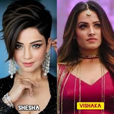 Reasons to prefer a villain partner