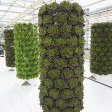 Hydroponic Vertical Barrel Aquaponics Greenhouse Vertical Farming Indoor Farming