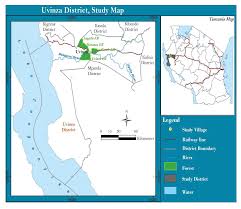 Image result for Uapaca sansibarica