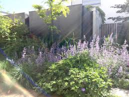 Dieser pinnwand folgen 1476 nutzer auf pinterest. Bepflanzung Oder Unterpflanzung In Ihrem Garten