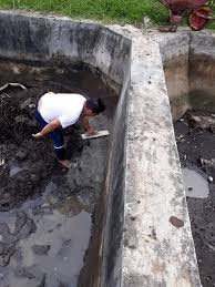 Kolam ikan hadir sebagai penambah rasa tenang dan hiburan mata bagi keluarga. Djpb Tatelu On Twitter Perbaikan Struktur Kolam Pemijahan Induk Ikan Nila Agar Optimal Selama Kegiatan Produksi Benih Budidayakkp S Soebjakto Fernando Bbl Https T Co Mtzf9zdom8