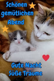 Gute nacht, freunde ist ein lied von reinhard mey. Susse Gute Nacht Gedichte Good Night Wishes Good Night Image Animals And Pets