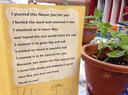 Pin By Nikki Bell On Classroom Ideas Preschool Poems Holiday Classrooms Plant Science