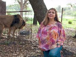She and her family volunteer for big cat rescue as unpaid staff and have 100+ volunteers and a dozen interns from around the world. Tiger King Star Carole Baskin S Missing Husband S Will Was Forged