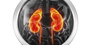Chronic renal failure after transplantation of a nonrenal organ n engl j med 2003; Kidney Failure Renal Failure With Uraemia Or Azotaemia