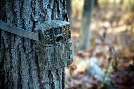 Best Trail Camera Of 2019 Game Camera Reviews And Buyers