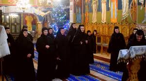 Search and share any place, find your location, ruler for distance measuring. Scurt Metrajul Paraman Realizat De Anca Toma Youtube