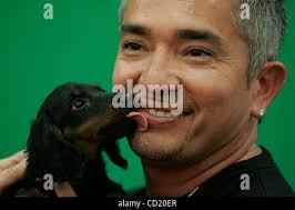 07 novembre 2008, San Diego , CA,-. CESAR MILLAN, 'Il Dog Whisperer" era  all'Arena Sportiva Petco negozio su Sabato, 11/8/08 per un libro firma e  foto. MILLAN con 'Beezer' un mini bassotto