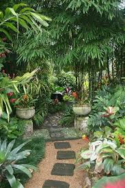Billede Google Fotos Tropical Garden Design Garden Paths Tropical Backyard